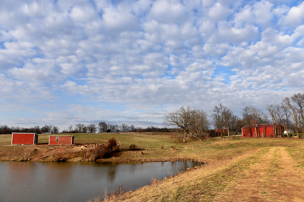 04052018_AltaiMeadowsFarm_photo2.jpg